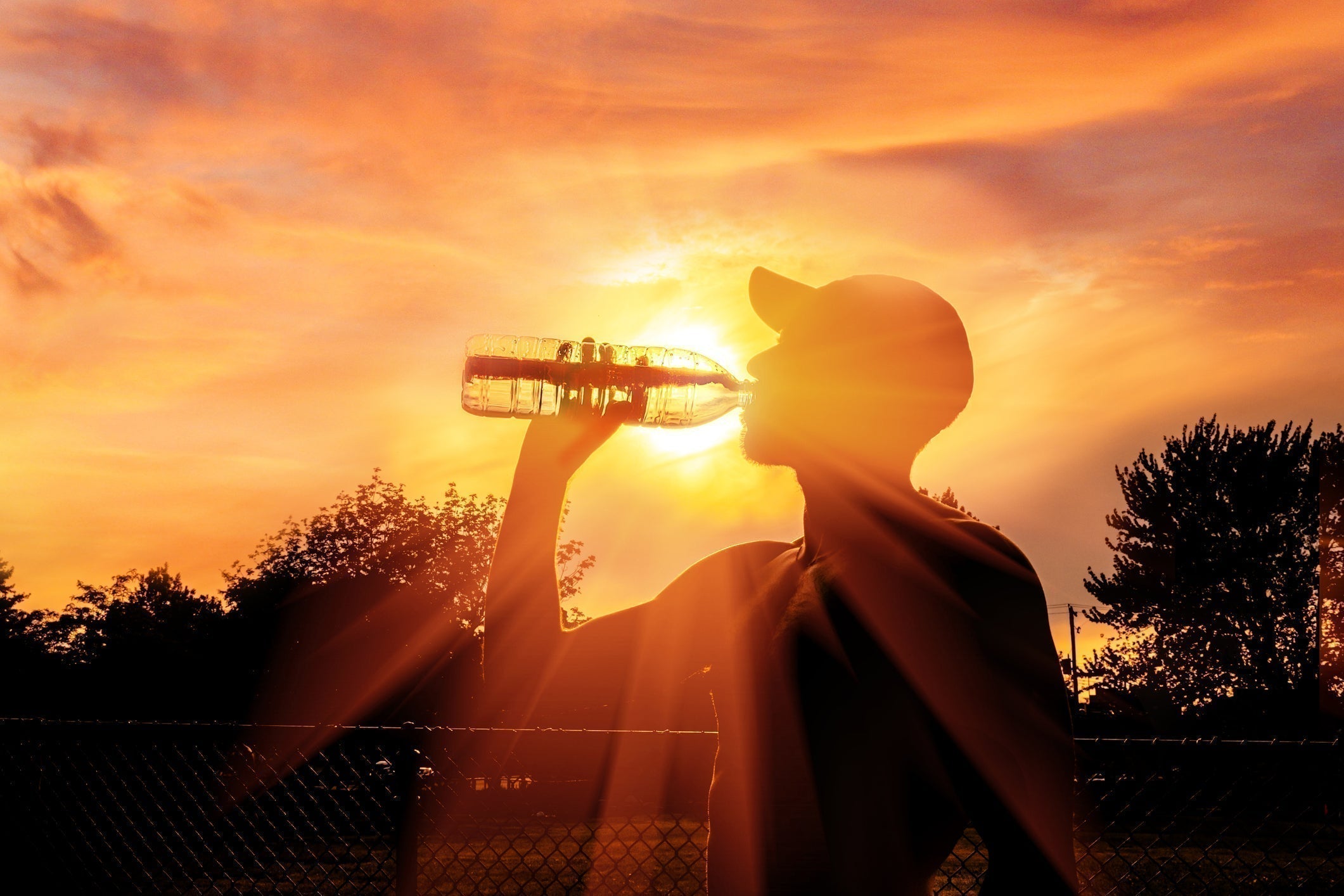 Running in Hot Weather? Your Hydration Strategy Matters More Than Ever